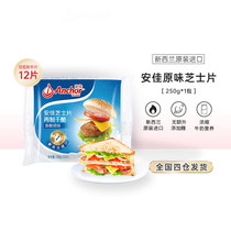Antyacheda Remake Cheese Cheese Slices Original Taste 250g Burger Sandwich