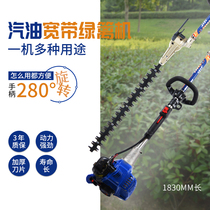 Oston Broadband Green Hedge imports High branches Green hedge High Altitude Trimmer Small Tea Tree Tea Trimmer