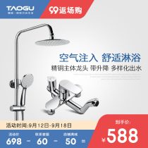 Germany Tao Valley bathroom shower shower shower set bathroom hot and cold water mixing valve pressurized shower nozzle 80023