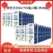 (48 boxes) New Zealand imports Newsherlan full-fat pure milk 250ml * 24 boxes * 2 boxes whole box 3 5g protein