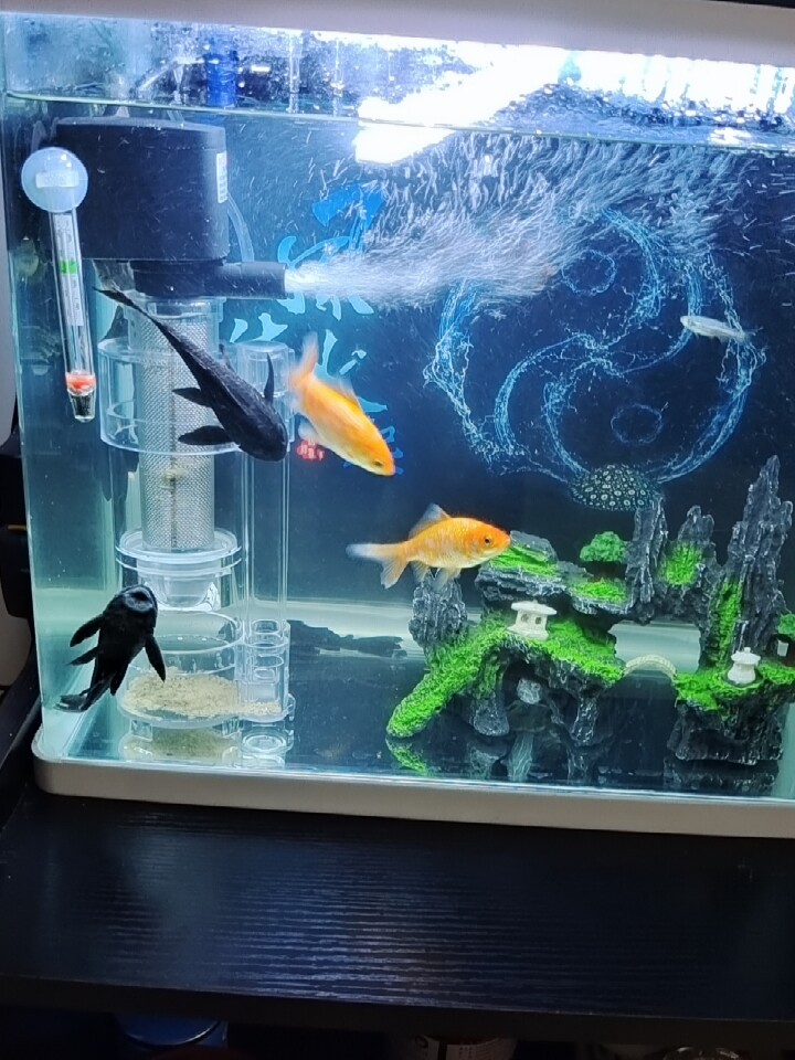 鱼马桶鱼缸粪便分离器底滤下过滤自动吸鱼便神器清理过滤器底吸