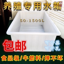 Large thick plastic water tank rectangular water storage bucket aquaculture fish beef tendon box foam ceramic tile shallow basin