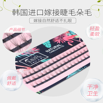 Grafting false eyelashes with 6 hairs and 10 hairs in a cluster of natural thick ultra-fine soft mink velvet hairs