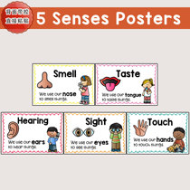 Five sensory senses wall stickers for childrens emotional early childhood education parent-child Enlightenment bilingual classroom teacher teaching aids cloth