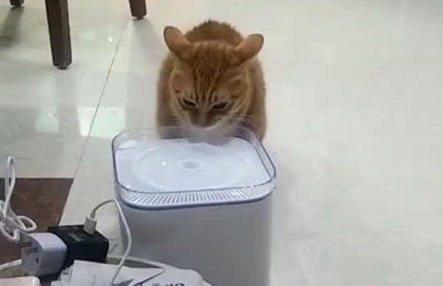 一直都选择68的内裤 对于68的设计还是很喜欢的哈哈哈哈哈 有活动的话都会考虑（乱配图哈哈