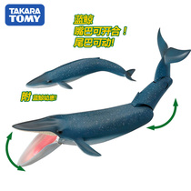 TOMY Amelia simulation animal model toy underwater world Ocean whale Blue whale parent-child 870012