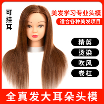 Hair model head Real hair head mold Hair cutting special dummy head Barber shop apprentice hot dye head mold Hair dummy head