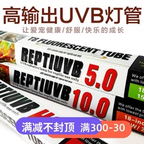 Professional tortoise lizard crawl succulent plant reptile UVB lamp calcium supplement lamp beyond 10 0 T815w