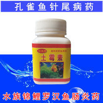 Guppies needle tail medicine guppies guppyfish oxytetracycline guppy fish medicine oxytetracycline needle tail medicine guppies guppies Guppy enteritis