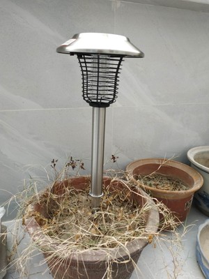 吐槽最新揭秘尚科太阳能灭蚊灯怎么样,效果好不好呢?