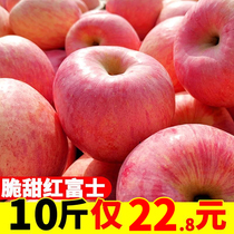 Shaanxi Apple Fruit Fresh 10kg a box of Crystal Red Fuji straight batch whole box crisp sweet red Fuji