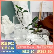 Nordic style glass vase transparent flower arrangement Water culture creative fashion INS hydroponic living room flower ornaments new