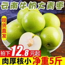 Yunnan Daqing jujube fresh 5kg of noble concubine milk sweet milk candied jujube fruit in the season fresh jujube whole box 1
