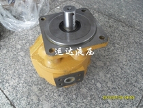 Hydraulic gear pump oil pump CBGK-2063 CBGJ-2050