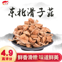 Mushroom Northeast Changbai Mountain specialty small yellow mushroom dry goods Heilongjiang straight hair Heilongjiang mushroom nutrition mushroom