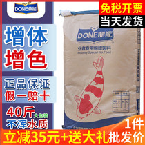 Dinneng koi feed 40kg fattening color fish food small particles universal Butterfly koi feed 20kg