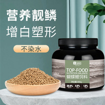 yee butterfly carp grain grain grains whitened and bounced fish special particle feed platinum carp main food is not muddy