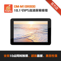 DM-M10R800 10 1 inch IPS HD screen module
