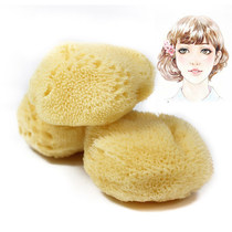 Greek Natural Sponge Fine Arts Sponge Suction Tool Watercolor Creatine Tool 2 0-2 5 inches