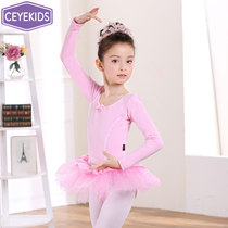 Dance Costume Kids Girls Kung Fu Dress Girls Latin Ballet Dress Dance Dress Fall Autumn Winter Chinese Dance Costume