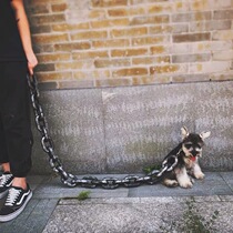 Pet Emulation Large Iron Chain Traction Rope Walking Cat Leads Rope Teddy Dog Item Ring