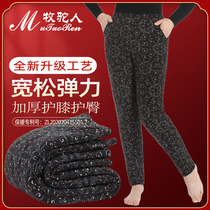 Shepherd Camel Camel cotton pants female mother high-waisted cotton pants Inner Mongolia thick grandmother camel pants winter old man warm loose