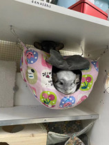 Dragon Cat Winter Warming Nest Cotton Cottonbeds Small Darling Supplies Mink Bag Nectar Sleeping Bed Over Winter Wood Cog House Comfort