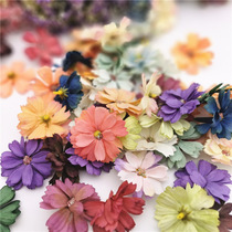 Star language flower DIY handmade plain flower simulation flower wedding flower wall decoration oil painting small flower plum blossom