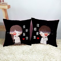Car pillow dual-use rear row couple two-in-one cotton sofa pillow pillow living room girl pair quilt