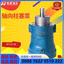 Jiangsu Hengyuan hydraulic original fit 5MCY14-1B axial plunger pump dosing high-pressure oil pump electric test pressure