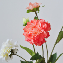 (Nine Thoughts) Relobate Peony Emulation Floral Home Decoration Floral Materials Wedding handout bouquet silk bouquet F614