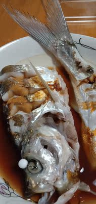 8米1竿子很轻,今天开光大吉,溜鱼轻松 8米1竿子很轻,今天开光大吉,溜鱼轻松