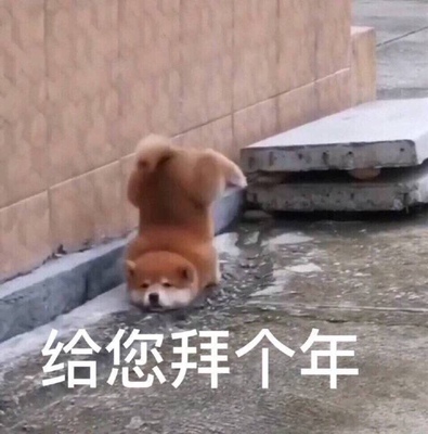 淘宝几年才知道原来评论85个字才会有积分。所以从今天到以后，这段话走到哪里就会复制到哪里。首先要保证质量啊，东西不赖啊。不然就用别的话来评论了。不知道这样子够不够85字。谢谢老板的认真检查。东西特别好，我不是刷评论的，我是觉得东西好我才买的，你会发现我每一家都是这么写的。因为复制一下就好了。