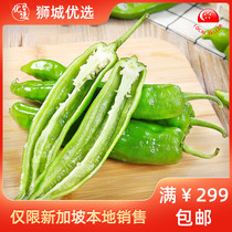 (Vegetable) green pepper 1kg Singapore local shipping