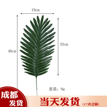 Chengdu Real Tortoise Back Bamboo Leaves LEATHERLEAF TURQUOISE LEAVES GREEN LEAVES WILLOW LEAVES YOGALI FAKE LEAVES KINDERGARTEN WEDDING DECORATIONS