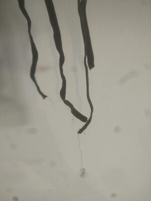 双11买发货非常快，新品样式也非常棒，就是掉色掉到怀疑人生，洗了4次才勉勉强强，洗完之后绳质量不好都开线了。和胖次单品的差距有点大。希望7了个3不要辜负大家的厚爱，及时道歉声明产品问题不要卖了，尽早找到合格高品质的供应商或者重新设计材质。镜头有点糊别在意，大冬天洗的手都冻僵了。伤心