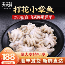Small octopus Octopus Octopus 280g seafood aquatic products fresh frozen flower small octopus hot pot ingredients