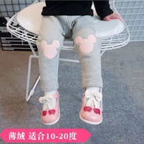 Spring and Autumn plus velvet padded bottoming pants for infants and women baby thin velvet warm pants foreign gas 0-3 years old 2 children