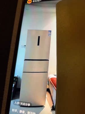 海尔 BCD-252WXPS如是点评