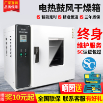 Setlis electric constant temperature oven blast drying oven Chinese medicine grain industrial oven drying box Laboratory