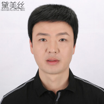 Wig Men Short Hair Short Straight Hair Real Hair Middle Aged Whole Headgear Handsome Hair flat head man live-action haircut
