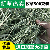 Imported Canadian Timothy Rabbit Forage One Press Multiple Pasture Gatie Hay 500g