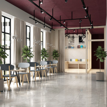 Fish love sugar Modern simple imitation marble tiles Guest restaurant bright floor tiles Villa porcelain wall tiles 1200