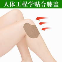 Buy 1 get 1 get 1) Ai Cong liquid with wormwood paste non-Zhenghutang moxa paste knee stick cervical vertebra stick lumbar stick