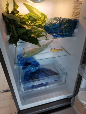海尔BCD-178TMPT不差是真的吗?