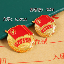 2022 standard type group emblem Chinese Communist Youth League Central supervisors Brooch Needle Biking Pin Large Magnet Magnetic Attraction Butterfly Buckle Genuine large number Badge Youth Student Member Supplies Wholesale Chest Badge