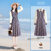 Fa-style comeback Flowers Enchantment Dresses 2022 Springtime New Closets Long Sleeves Blue Snowspun Medium Long Dresses Over Knee
