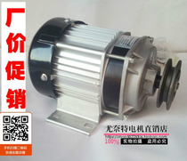 Unite permanent magnet DC brushless motor BM1418ZXF model pulley motor