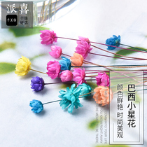 Patsy Brazil small star flower crystal drops glue DIY dried flower decorative bouquet hipster flower arrangement wishing bottle filling