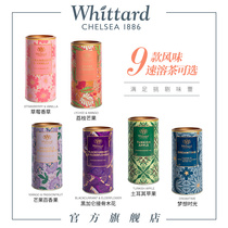 Whittard UK imported multi-flavor collection instant tea 450g canned brewing juice tea powder instant powder